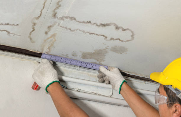 Reliable Mold Remediation contractor in Pocasset, OK by Water Damage Irwin